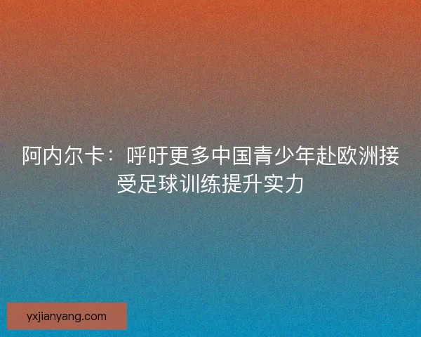 阿内尔卡：呼吁更多中国青少年赴欧洲接受足球训练提升实力