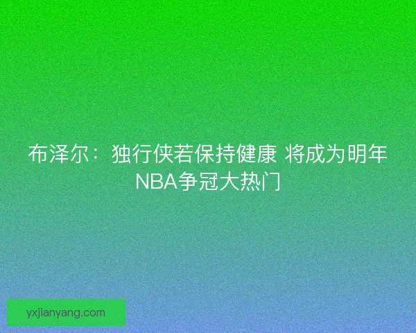 布泽尔：独行侠若保持健康 将成为明年NBA争冠大热门