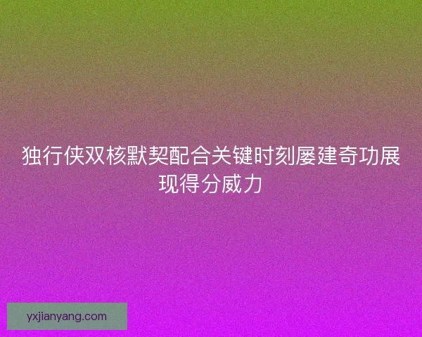 独行侠双核默契配合关键时刻屡建奇功展现得分威力
