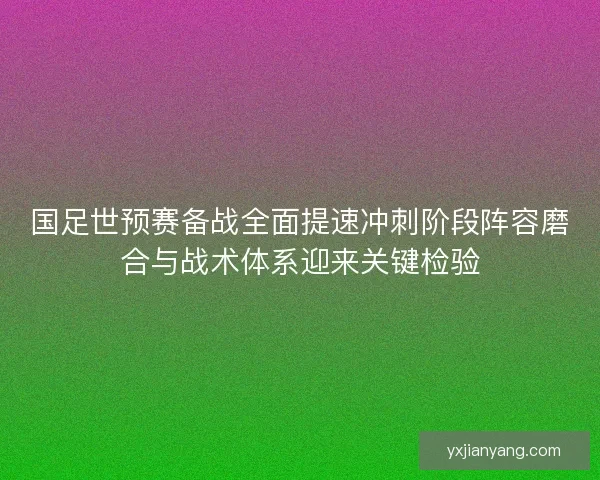 国足世预赛备战全面提速冲刺阶段阵容磨合与战术体系迎来关键检验